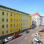 Rent 3 bedroom apartment of 81 m² in Brno