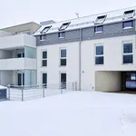 Rent 3 bedroom apartment of 87 m² in Münchendorf