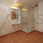 Rent 5 bedroom house of 259 m² in Prague