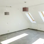 Rent 2 bedroom apartment of 58 m² in Székesfehérvár