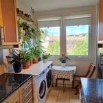 Rent 2 bedroom apartment in Oslo