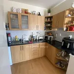 Rent 1 bedroom apartment of 40 m² in Brno