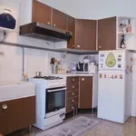 Rent 4 bedroom apartment of 100 m² in Turin