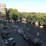 Affitto 1 camera appartamento di 15 m² in Roma