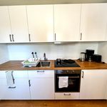 Rent 1 bedroom apartment of 42 m² in Dresden