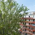 Rent 3 bedroom apartment of 73 m² in Vienna