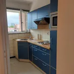 Huur 1 slaapkamer appartement in Berchem-Sainte-Agathe