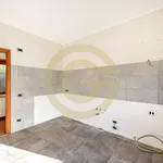 Affitto 6 camera appartamento di 312 m² in Cerveteri