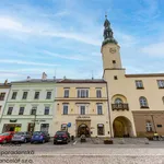 Rent 1 bedroom apartment of 28 m² in Moravská Třebová