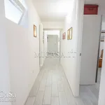 Rent 4 bedroom apartment of 80 m² in Pisa