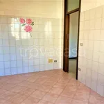 Rent 4 bedroom apartment of 130 m² in Concorezzo