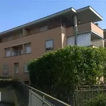 Rent 1 bedroom apartment of 20 m² in Rome