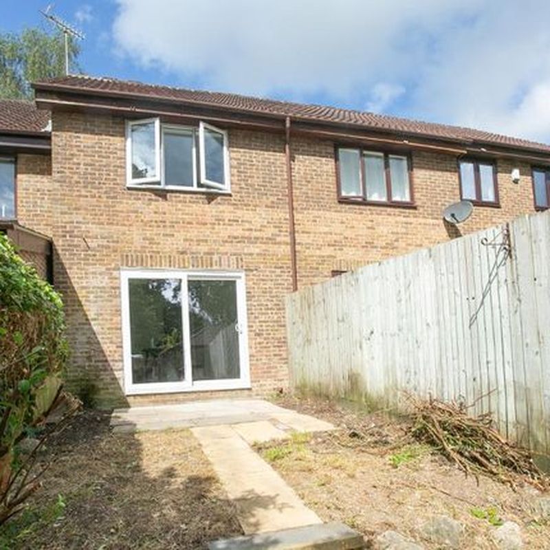 Terraced house to rent in Lime Way, Heathfield, East Sussex TN21 Waldron