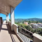 Rent 5 bedroom apartment of 220 m² in Tolfa