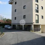 Rent 2 bedroom apartment of 35 m² in Cossato