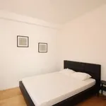 Huur 2 slaapkamer appartement van 100 m² in brussels