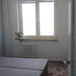 Rent 1 bedroom apartment of 48 m² in Brno