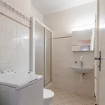 Pronajměte si 1 ložnic/e byt o rozloze 28 m² v Prague