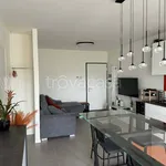 Rent 3 bedroom apartment of 81 m² in Barbano