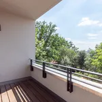 Rent 4 bedroom apartment of 117 m² in Leipzig