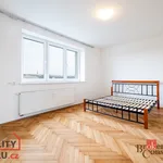 Rent 1 bedroom apartment of 31 m² in Capital City of Prague