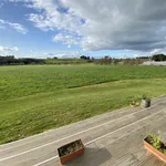 Rent 4 bedroom house in Palmerston North