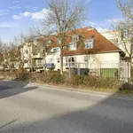 Rent 2 bedroom apartment of 55 m² in Dresden