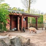 Huur 4 slaapkamer huis in Lochem