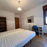 Rent 3 bedroom apartment of 110 m² in Roma