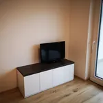 Rent 1 bedroom apartment in Zlín