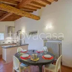 Rent 2 bedroom apartment of 50 m² in Firenze