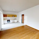 Rent 2 bedroom apartment in Pelhřimov