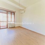 Rent 5 bedroom apartment of 140 m² in Cagliari