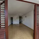 Appartement de 29 m² avec 1 chambre(s) en location à Schoelcher