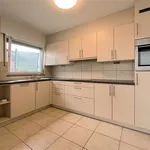 Rent 2 bedroom apartment in Londerzeel