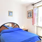 Rent 2 bedroom apartment of 60 m² in rome