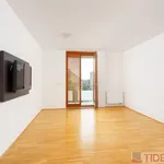 Rent 3 bedroom apartment of 114 m² in Prague