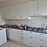 Huur 1 slaapkamer appartement van 63 m² in Zulte