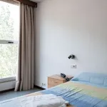 Rent 1 bedroom apartment in madrid