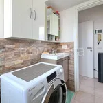 Rent 1 bedroom apartment of 29 m² in Pavia