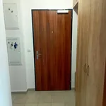 Rent 1 bedroom apartment in Capital City of Prague