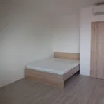 Rent 1 bedroom apartment of 30 m² in Brno