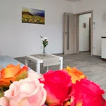 Rent 1 bedroom apartment in Nový Jičín