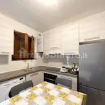 Rent 1 bedroom apartment of 30 m² in Pisa