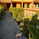 Rent 3 bedroom apartment of 75 m² in Orbetello