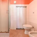 Rent 1 bedroom apartment in Florence