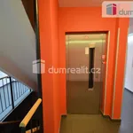 Rent 3 bedroom apartment of 80 m² in Praha