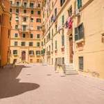 Rent 1 bedroom apartment of 60 m² in rome