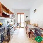 Rent 2 bedroom apartment of 65 m² in Alessandria