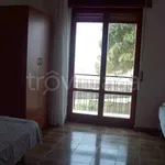 Rent 3 bedroom apartment of 60 m² in Cetraro